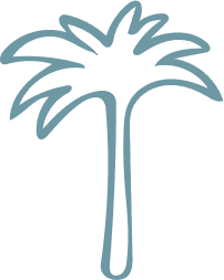 palm tree